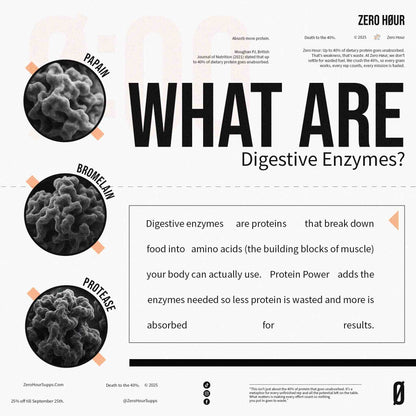 Protein Power – Protein Absorption Amplifier