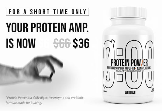 Protein Power – Protein Absorption Amplifier